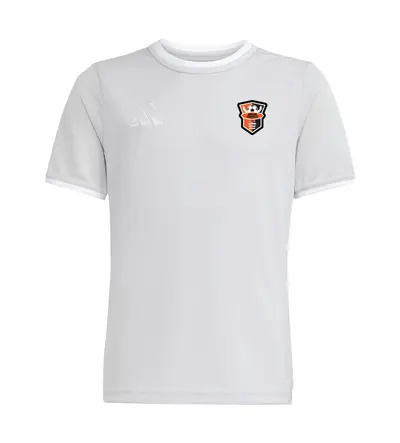 Harlow Tekkers Coaches Adidas Entrada 26 T-Shirt Grey