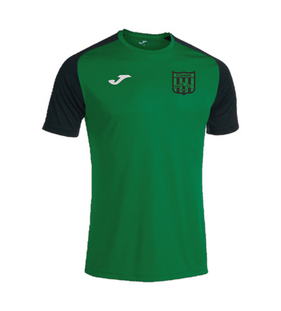 Elsenham Academy IV Home shirt Green/Black