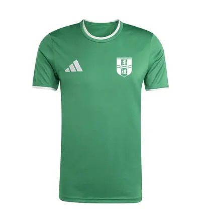 BS Judo Adidas Entrada 26 T-Shirt Green/White JNR