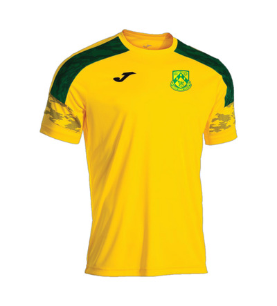 DRYFC Champ VIII Home T-Shirt Yellow JNR
