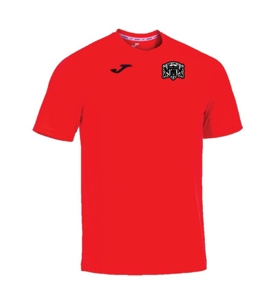 Ware Lions Combi Training/Away Shirt Coral JNR