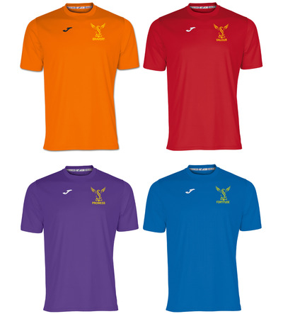 Stewards Joma Combi House Tee with or without School Crest