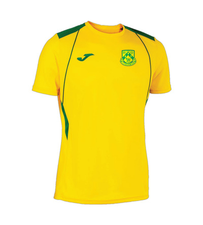 Dunmow Rovers Champ 7 Home Shirt Yellow/Green SNR