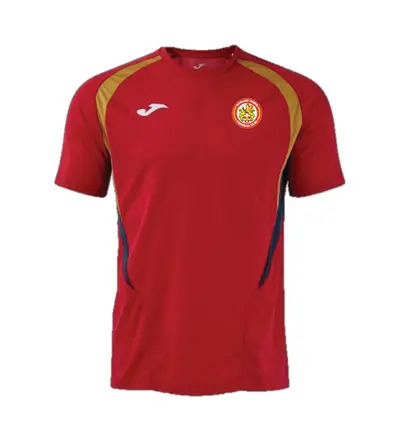 Harlow Town Champ 20 T-Shirt Red/Gold/Navy JNR