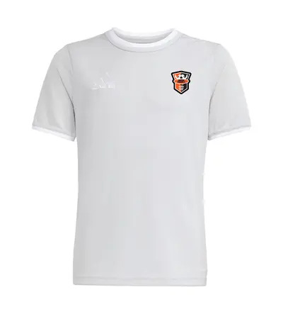 Harlow Tekkers Adidas Entrada 26 T-Shirt Grey/White JNR