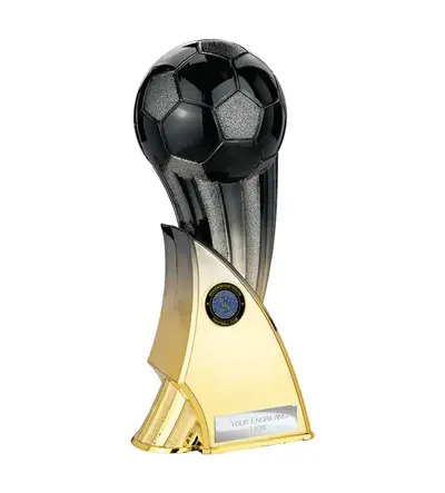 Firestorm 220mm Black/Gold (RWYFC (Girls) Participation Award)