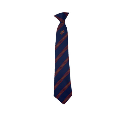 Kingsmoor Tie with School Crest (YEAR 3+)