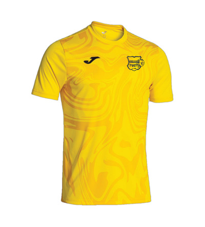Chars Youth Lion II Away T-Shirt Yellow SNR