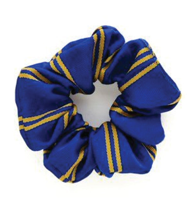 Hare Street Scrunchie Royal/Gold