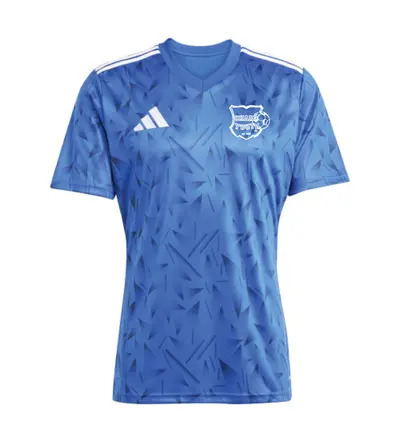 Chars Adidas Team Icon 25 T-Shirt Royal SNR
