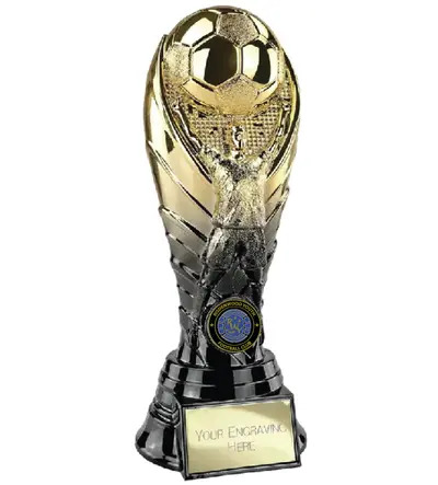 The Winning Goal 220mm Gold/Black (RWYFC Participation Award)