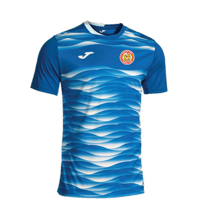 HTFC Tiger VII Replica T-Shirt Royal/White JNR
