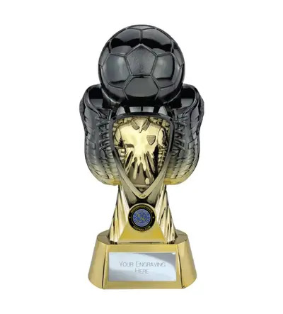 Tournament 280mm Black/Gold (RWYFC Managers Player Award)