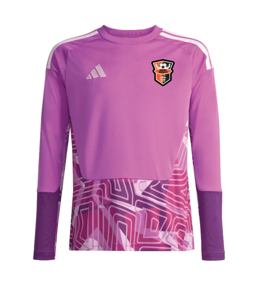 Harlow Tekkers Adidas Tiro 26 Goalkeeper Purple Set SNR
