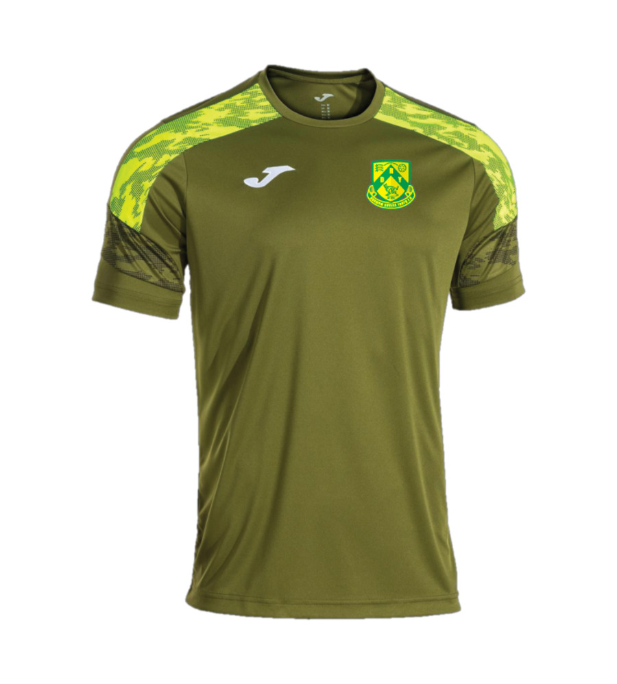 DRYFC Champ VIII Training T-Shirt Green JNR