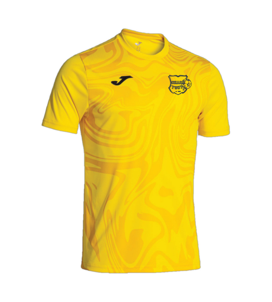 Chars Youth Lion II Away T-Shirt Yellow SNR