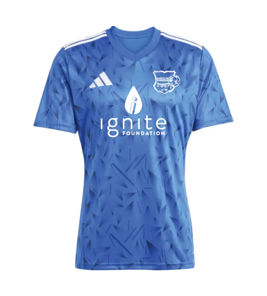 Chars Adidas Team Icon 25 T-Shirt Royal JNR
