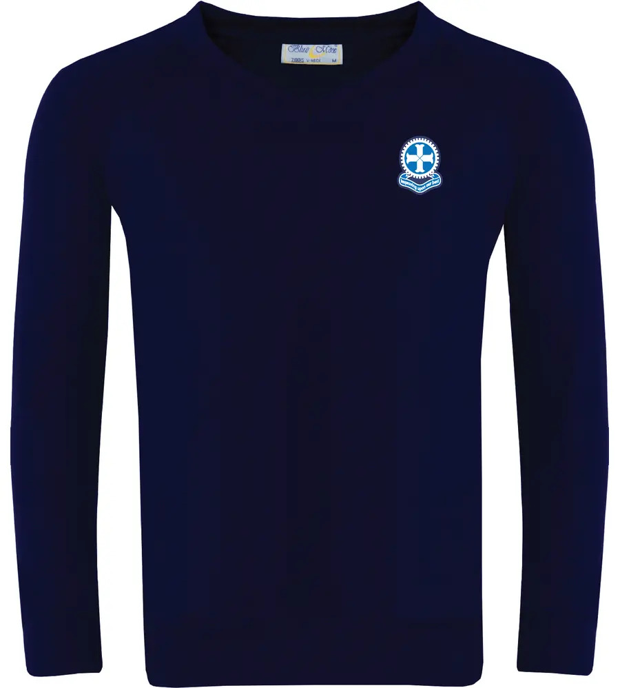 Passmores Cotton V-Neck Sweatshirt Navy