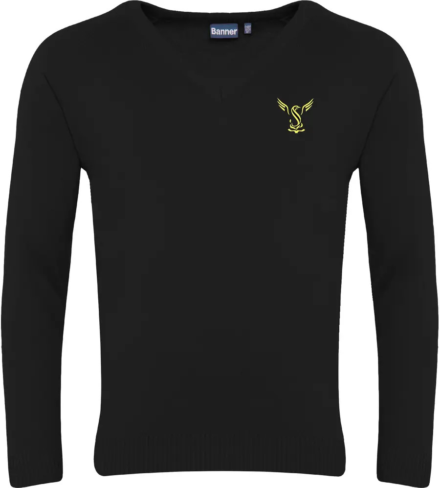 Stewards Academy V-Neck Jumper Plain