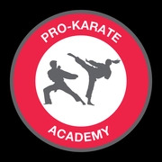Pro Karate Academy