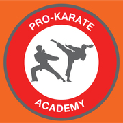 Pro Karate Academy